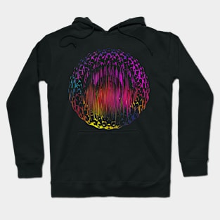 Kaleidoscope Line pulls Hoodie